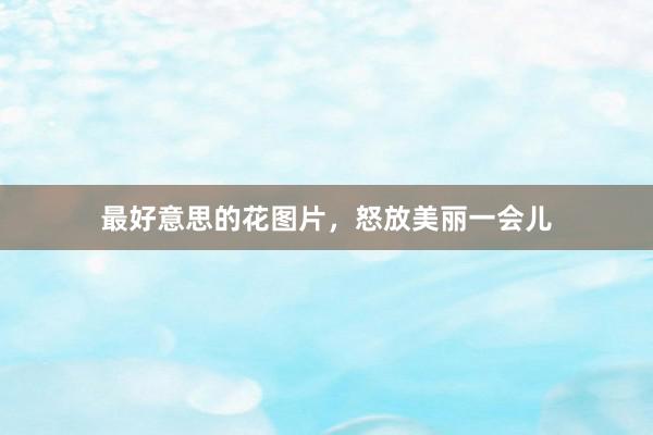最好意思的花图片，怒放美丽一会儿