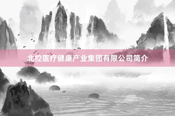 北控医疗健康产业集团有限公司简介