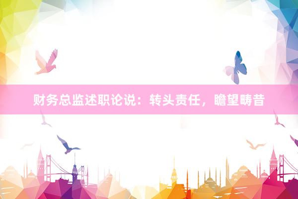 财务总监述职论说:转头责任,瞻望畴昔